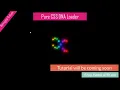 CSS DNA Loading Animation