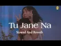 Tu Jane Na - Lofi Mix (Full Version) | Atif Aslam | SPLM | Latest Trending 4k Song
