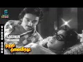 Lagu Ilakkanam Maarudho Song - Nizhal Nijamagiradhu | Kamal Hassan | Sumithra | SPB | K Balachander | MSV