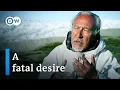 Download Lagu Money, happiness and eternal life - Greed (Director's Cut) | DW Documentary