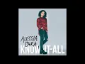 Stone - Alessia Cara ft  Sebastian Kole (Male Version)