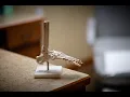 Intro to Saint Cloud Foot and Ankle