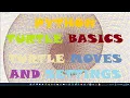 Turtle Moves and Settings Python Turtle Basics 1