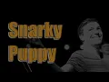 Snarky Puppy - Thing of Gold @ Asheville Music Hall - Asheville, NC 2-15-14
