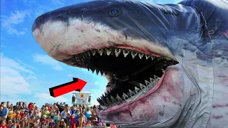 বিশ্বের সবচেয়ে বড় ৫টি প্রাণী || World's 5 Biggest Animals of All Time