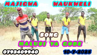 Majigwa Wa Ukweli Song Halusi Ya Gobe Official Audio 2025 