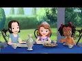 Sofia's summer night preps | Sofia The First | S1 EP 25 | @disneyindia