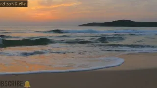 اية الكرسي سورة البقرة ايات قرأنية بصوت مولانا كورتش 