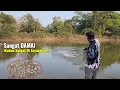 Download Lagu Alam dan jutaan suara burung membuat mancing di spot ini terasa damai \