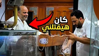                                                                        دندنها