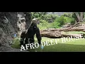 Download Lagu Afro Deep House in Tenerife | One Day in Paradise 🌴 | Black Coffee, Bantwanas \u0026 Bob Sinclar