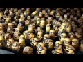 Despicable Me 2 banana song REMIX