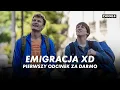 Lagu EMIGRACJA XD | Cały Odcinek 1 za darmo| Serial CANAL+