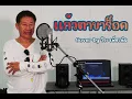 แก้วตาขาร็อค - ป้าง นครินทร์ (Cover by วีระ เพ็ชรนิล)