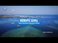Kerapu Sunu Hasil Budidaya dari Bali Utara