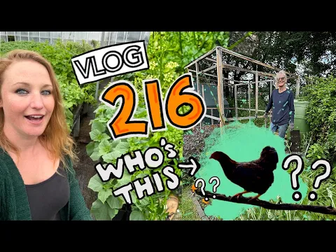 Download MP3 Surprise new member of the clan! Plus Foxes, Sweetpeas and Floor Progress!! Ep216 || Plot 37