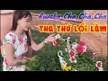 Tha Thứ Lỗi Lầm | Du Lịch Xuân Hương