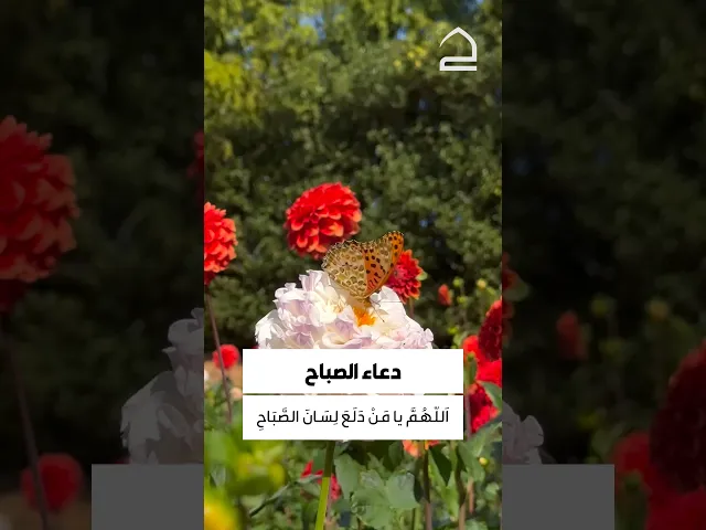 ⁣دعاء الصباح 