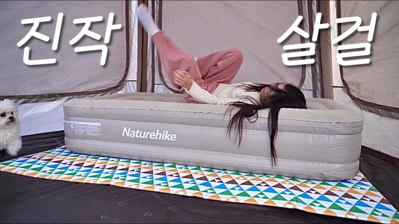 어짜피 살거 일찍 사자 | 솔로캠핑 | 반려견 동반 캠핑 | 필굿 에어 쉘터 | 네이처하이크 에어침대 | 전남 화순 숲속의 베리팜 サムネイル