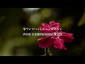 【中文字幕】幾田りら「レンズ」（THE FIRST TAKE Ver.）