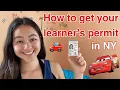 learn to drive HOW TO GET YOUR LEARNER S PERMIT IN NEW YORK Alexia Kaybee