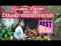 Lagu SEMAKIN BANYAK DISKON DIRAHEEM FLORIST 