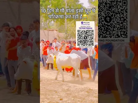 गौ सेवा सबसे ऊपर 🙏🙏 #viral #shorts #ytshorts