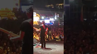 dewa pupus x ello pestapora 2024