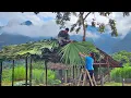 Download Lagu COI completed the roofing with the help of LAI - Journey of building a house for business
