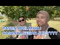 Download Lagu PANEN APEL DI KEBUN || NIA DI CUEKIN COWOK-COWOK