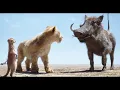 Hakuna Matata español latino clip HD ''El Rey León'' 2019