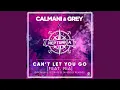 Download Lagu Can't Let You Go (Svniivan \u0026 Leonail \u0026 Tavengo Extended Mix)