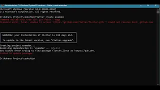 unable to access https github flutter git Could not resolve host github com