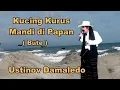 Download Lagu Dangdut Kucing Kurus  Cover USTINOV DAMALEDO Musik Jhon Seran Model Ria Kali