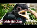 Lagu TENGKEK BUTO NGEKEK KASAR || MASTERAN AMPUH