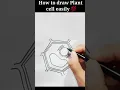 How to draw plant cell