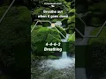 Vagus Nerve Breathing Meditation 4-4-6-2 Rhythm to Calm Your Nervous System