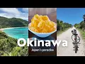 A week in Okinawa, Japan’s paradise vol.1 🇯🇵🌺 Solo travel VLOG 📸