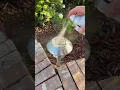My neighbor laughed at me when I said I could remove the haze in 1 second