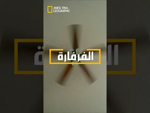 حملة ذات منفعة عامة 🔥 الفرفارة 🤣