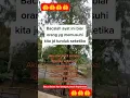 Download Lagu ayat summum bukmum umyun fahum layarjiun