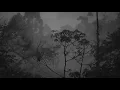 Download Lagu Relaksasi Hujan dipegunungan [Rain Sounds For Sleeping]