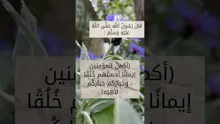 حديث عن الاخلاق في أقل من دقيقة 