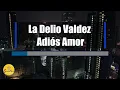 La Delio Valdez - Adiós Amor Karaoke
