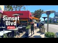 LOS ANGELES Sunset Blvd walk 🇺🇸 West Hollywood CA 4K 2024