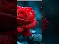 Download Lagu Dii tu hi bta