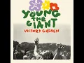 Bitter Fruit - Young The Giant