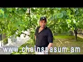 Download Lagu Grigori Yesayan, Григори Есаян, Գրիգորի Եսայան