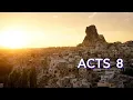 ACTS 8 NIV BIBLE