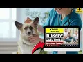 Kennel Assistant Interview Questions and Answers How To Ace Your Kennel Assistant Interview